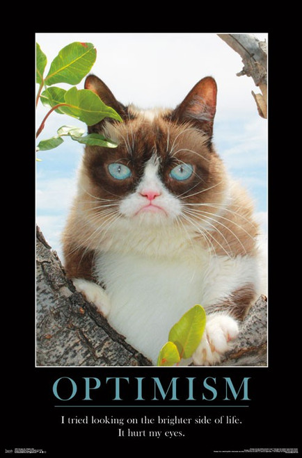 Grumpy Cat - Brighter Side Poster Print