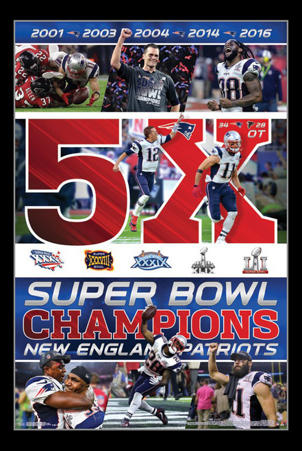 Super Bowl LI - Celebration Poster Print - Item # VARTIARP15137