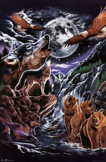 Spiritual Animals Poster Poster Print - Item # VARTIARP6020