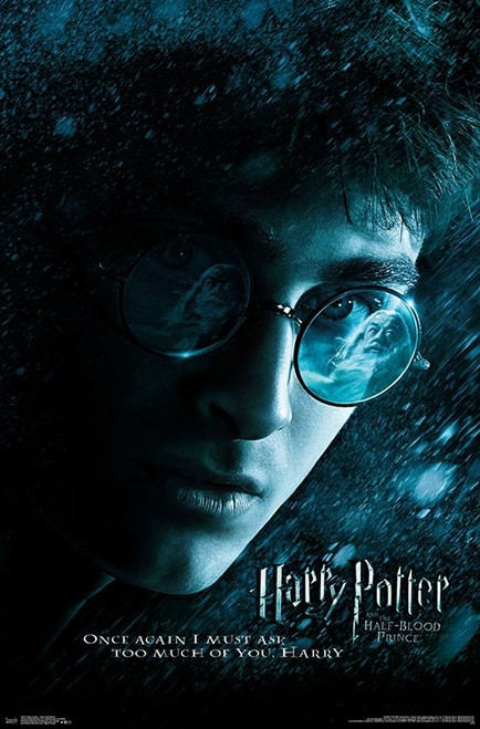 Harry Potter - Harry Half Blood Poster Print