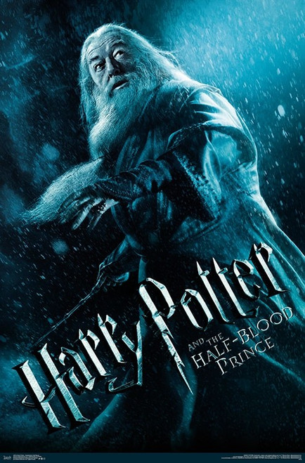 Harry Potter - Dumbledore Half Blood Poster Print
