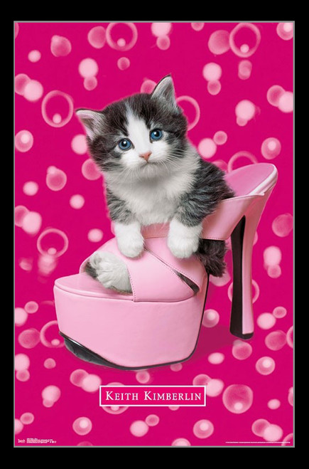 Kitten - Shoe Poster Print