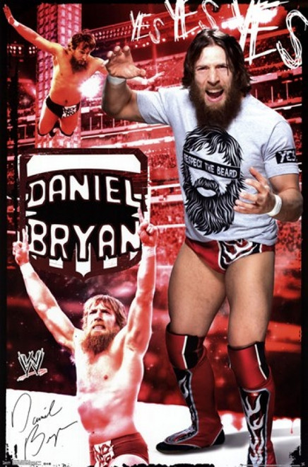 WWE - Daniel Bryan 14 Poster Print - Item # VARTIARP13458