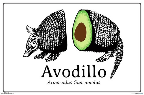 Snorg Tees - Avodillo Poster Print - Item # VARTIARP16970 Snorg Tees - Avodillo Poster Print - Item # VARTIARP16970