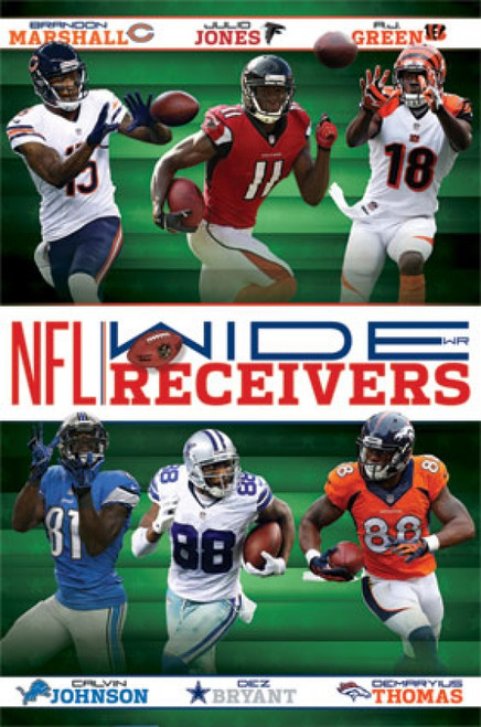NFL - Receivers 14 Poster Print - Item # VARTIARP13446