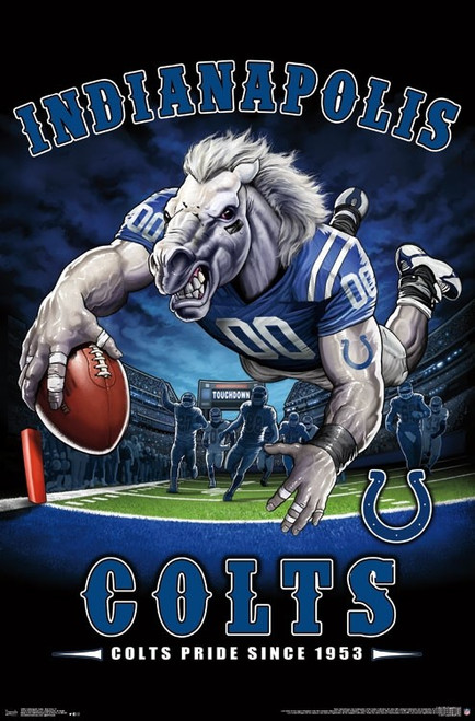 Indianapolis Colts - End Zone Poster Print
