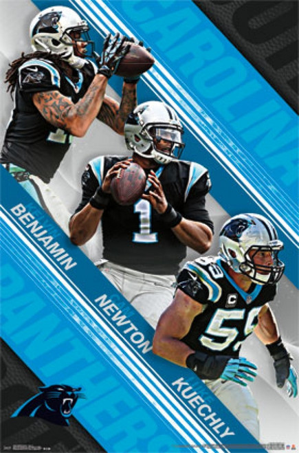 Carolina Panthers - Team 2015 Poster Print - Item # VARTIARP14246