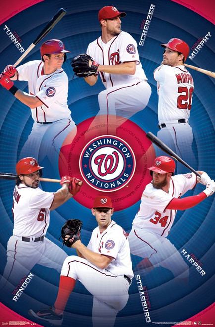 Washington Nationals__ - Team Poster Print - Item # VARTIARP15785