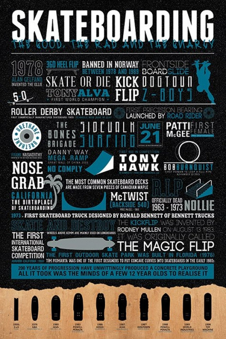 Skateboarding Poster Poster Print - Item # VARPYRPP33418