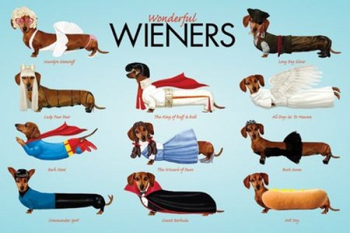 Wonderful Wieners - Group Poster Poster Print - Item # VARNMR241105