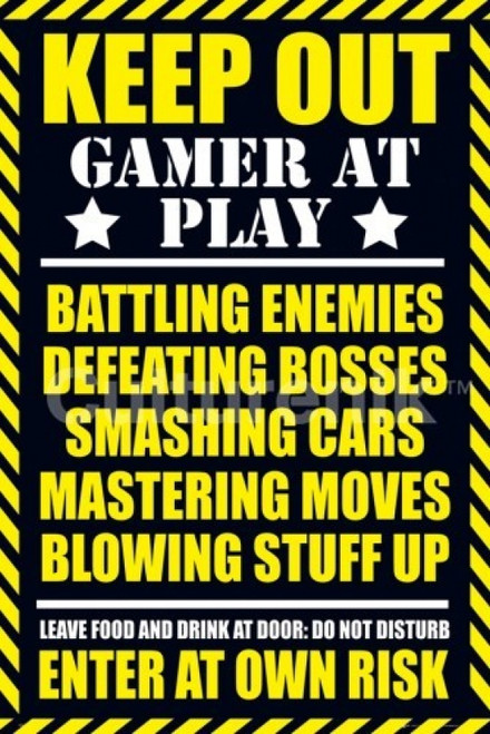 Keep Out Gamer At Play Poster Poster Print - Item # VARIMPST5487R