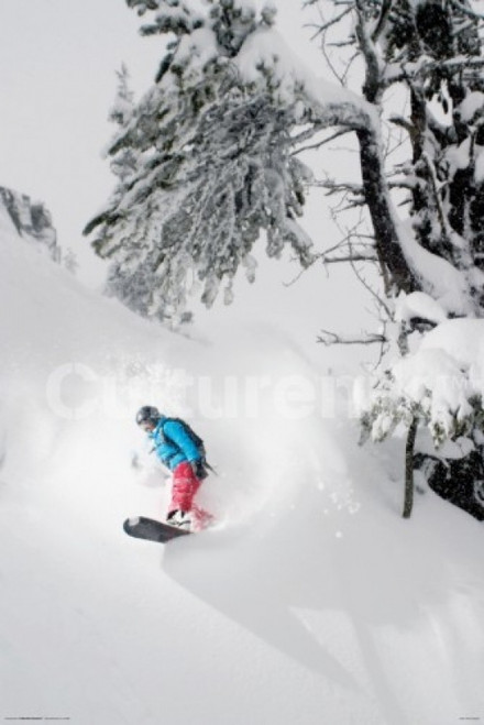 Snowboarder Under Tree Poster Print