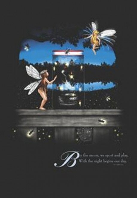 Fairy Fireflies Poster Poster Print - Item # VARIMPST3027R