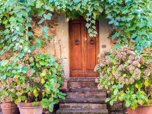 Italy-Tuscany-Pienza Doorway surrounded by flowers Poster Print - Julie Eggers # VARPDXEU16JEG1817