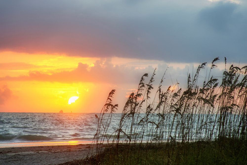 Sunrise on Atlantic Beach by Anna Miller - Item # VARPDXUS11AMI0001