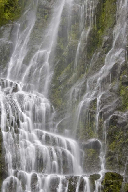 Oregon, Willamette NF View of Proxy Falls by Don Paulson - Item # VARPDXUS38BJA0584