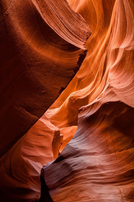 Arizona-Page-Antelope Canyon Navajo Tribal Park-Lower Antelope Canyon by Ann Collins - Item # VARPDXUS03ACO0054