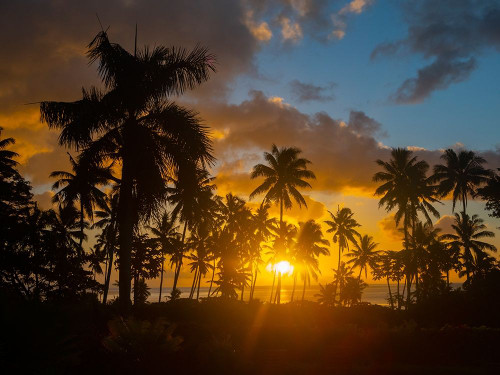 Fiji-Taveuni Island Beach sunset with palm trees by Merrill Images - Item # VARPDXOC01JME0060