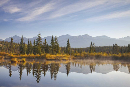 Canada, Alberta, Jasper NP Cottonwood Slough by Don Paulson - Item # VARPDXCN01BJA0031