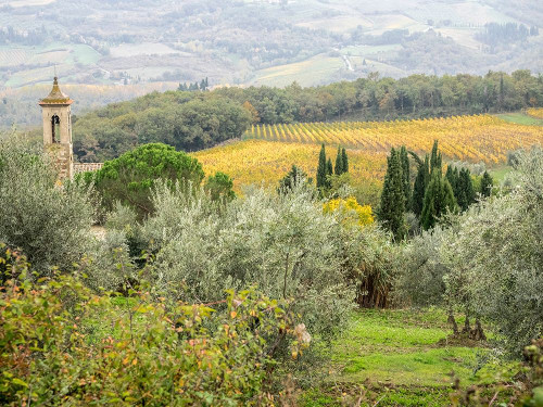 Italy-Chianti Pieve di Santa Maria Novella near Radda in Chianti by Julie Eggers - Item # VARPDXEU16JEG0949