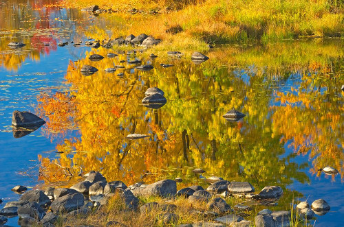 Canada-Ontario-Whitefish Autumn colors reflect in Vermilion River by Jaynes Gallery - Item # VARPDXCN08BJY0466