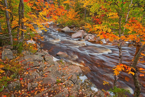 Canada-Nova Scotia Mary-Anne Falls and forest in autumn foliage by Jaynes Gallery - Item # VARPDXCN07BJY0147