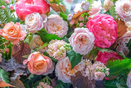 Mixed flowers by Assaf Frank - Item # VARPDXAF20190807029C01