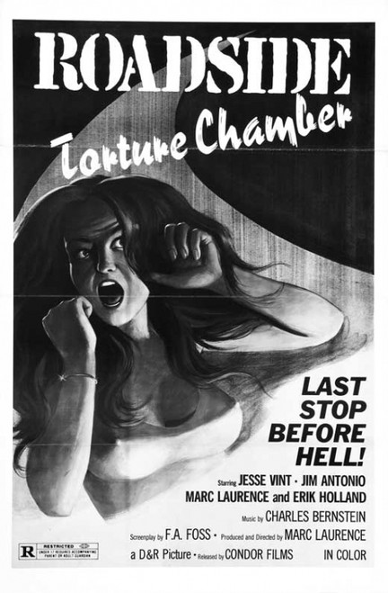 Daddy's Deadly Darling Movie Poster (11 x 17) - Item # MOVIB02253