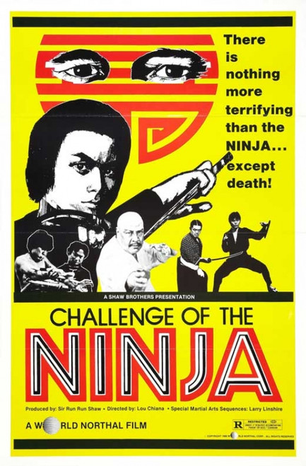 Challenge of the Ninja Movie Poster (11 x 17) - Item # MOVAB33511