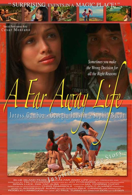 A Far Away Life Movie Poster (11 x 17) - Item # MOVAB42111