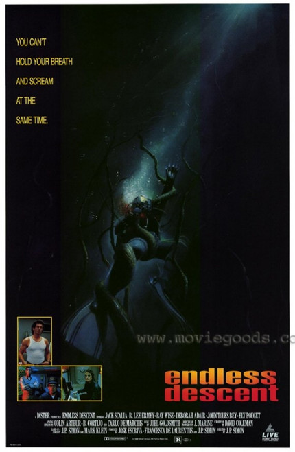 Endless Descent Movie Poster (11 x 17) - Item # MOVCE9196
