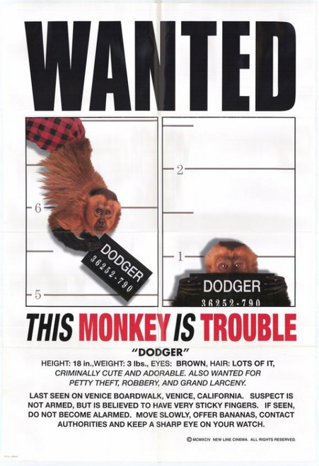 Dodger Movie Poster (11 x 17) - Item # MOVIE3077