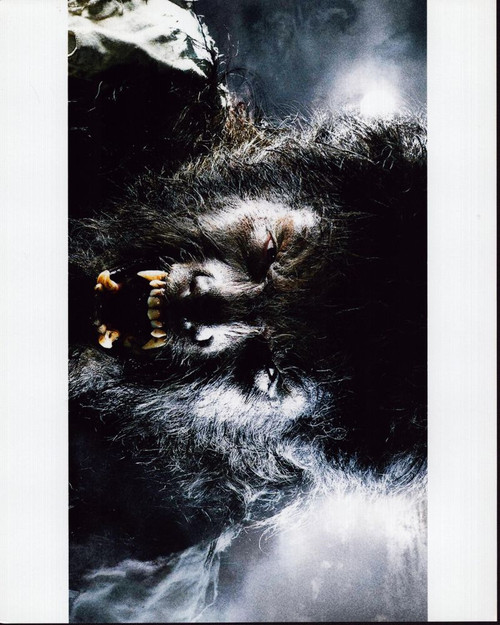 Benicio Del Toro Close Up In The Wolfman Photo Print - Item # MVM58684