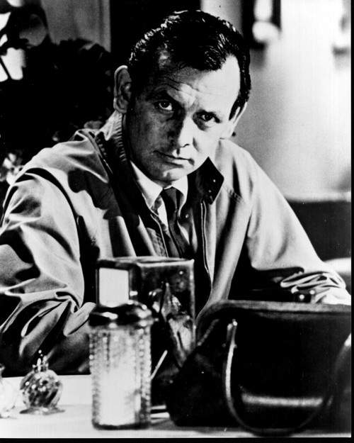 David Janssen Sitting At Table In The Fugitive Black And White Photo Print - Item # MVM56257