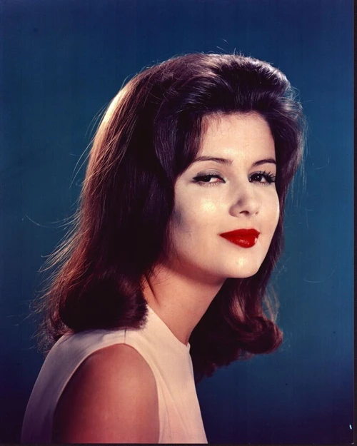 Pamela Tiffin Headshot Looking To Side Photo Print