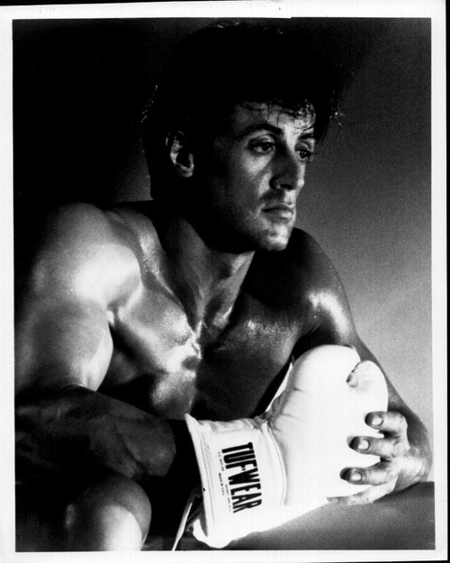 Sylvester Stallone With Boxing Glove In Rocky Black And White Photo Print - Item # MVM59734