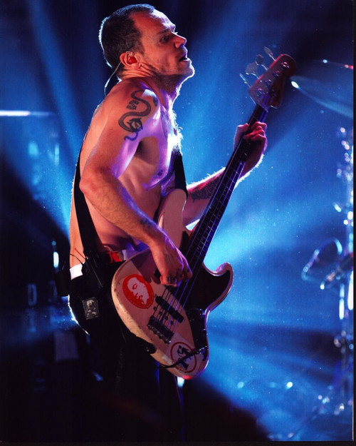 Flea Playing Guitar On Stage Photo Print - Item # MVM55831
