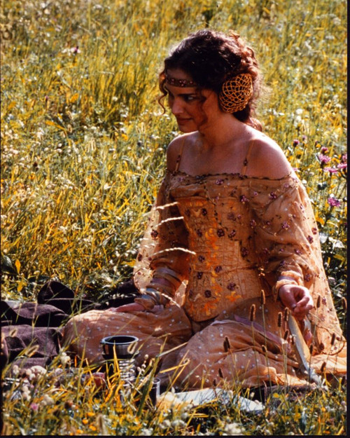 Natalie Portman Sitting In Grass In Star Wars: Episode Ii - Attack Of The Clones Photo Print - Item # MVM55762