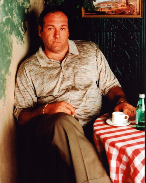 James Gandolfini Sitting At Table For The Sopranos Photo Print - Item # MVM60193 James Gandolfini Sitting At Table For The Sopranos Photo Print - Item # MVM60193