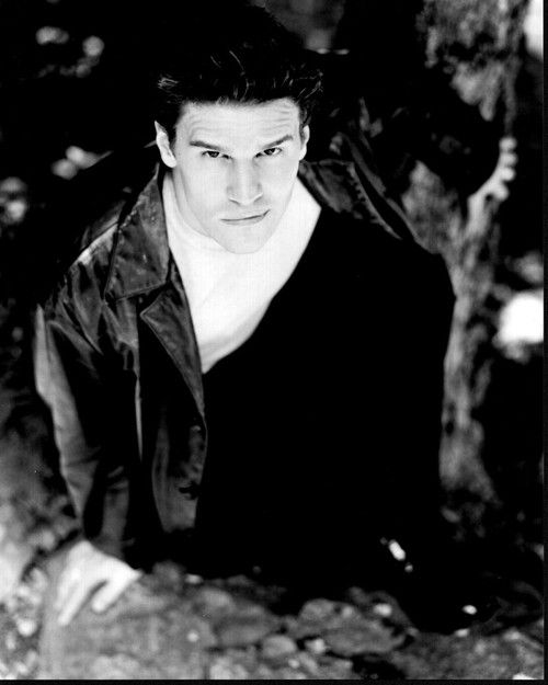 David Boreanaz Crushed In Leather Jacket Black And White Photo Print - Item # MVM57324