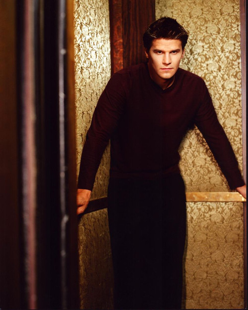 David Boreanaz In Gold Elevator Photo Print