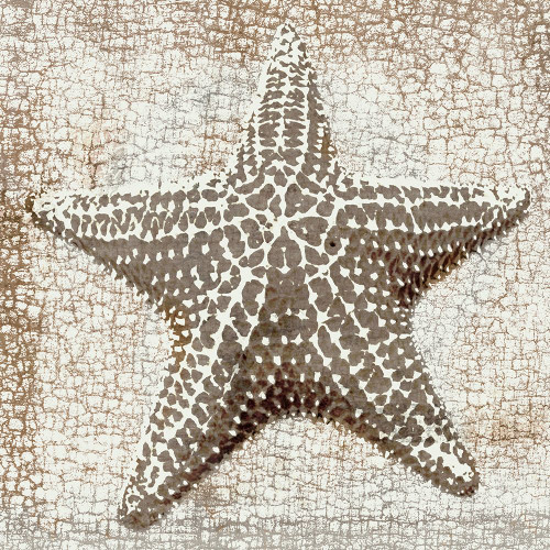 Aqua Marine IV Poster Print - Sia Aryai