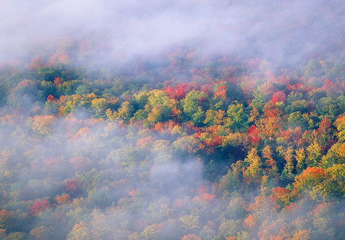 USA-Vermont Overview of wispy clouds and forest in autumn foliage Poster Print - Gallery Jaynes