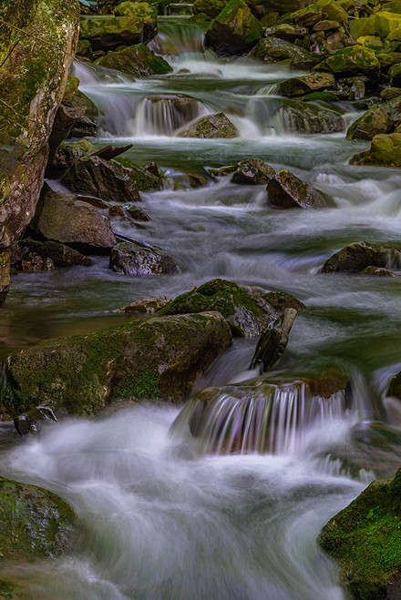 USA-West Virginia-New River Gorge National Park Stream rapids in spring Poster Print - Gallery Jaynes