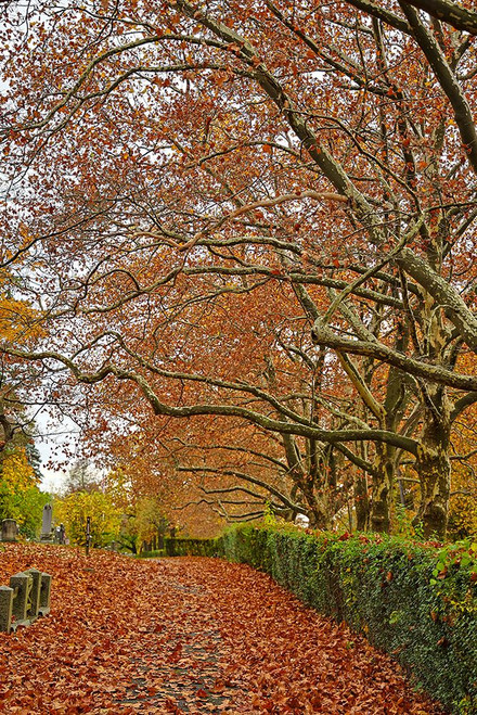 USA-Sleepy Hollow Sleepy Hollow Cemetery