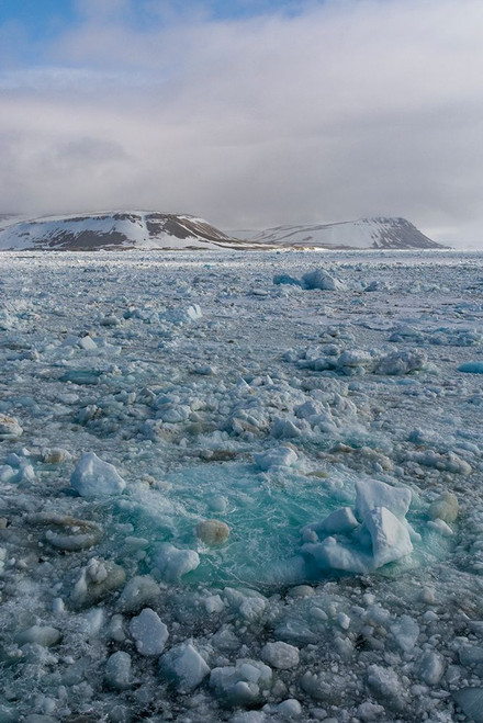 Sea ice in Wahlenbergfjorden fjord Nordaustlandet-Norway Poster Print - Sergio Pitamitz