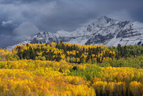 USA-Colorado-Uncompahgre National Forest Storm clouds above Wilson Peak and autumn aspen forest Poster Print - Gallery Jaynes