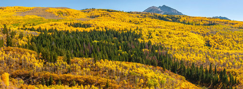 USA-Colorado-White River National Forest Panoramic Poster Print - Gallery Jaynes