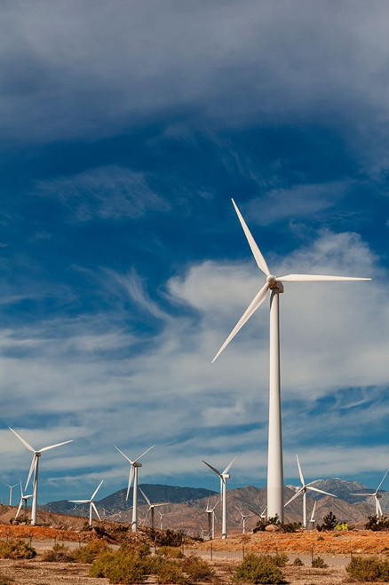 Rows of windmills on a wind farm Palm Springs-California Poster Print - Sergio Pitamitz