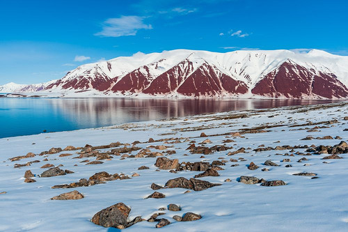 Snow covered rock beaches and mountains rim Bockfjorden-Spitsbergen Island-Svalbard-Norway Poster Print - Sergio Pitamitz